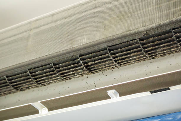 Best Affordable Duct Cleaning Services  in Bolivar, WV